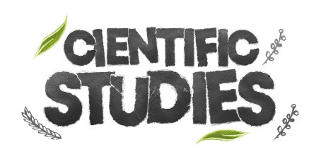 Maca Extract for Supplement Manufacturing: Formulation & Sourcing Guide