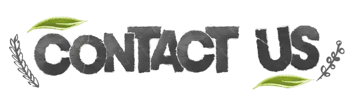 Get in touch with our export team Contact Amazon Andes for maca wholesale inquiries