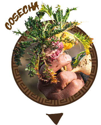Farming Communities