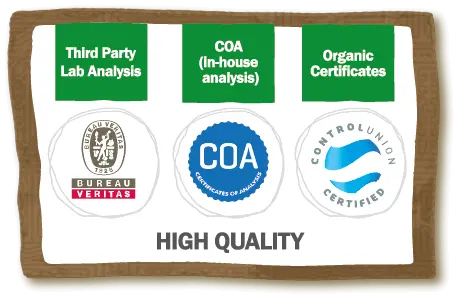 Pharmaceutical & Nutraceutical Pharmaceutical & Nutraceutical