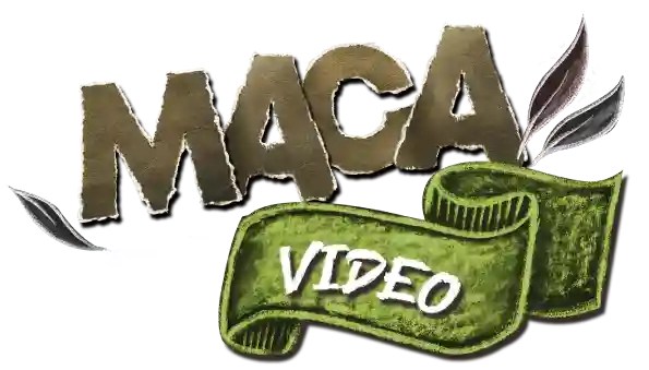 Watch: Maca harvesting in Peru Peruvian maca video section