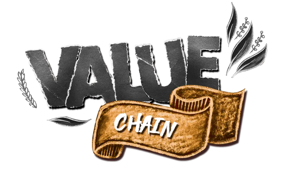 Amazon Andes maca value chain Maca supply chain from field to container